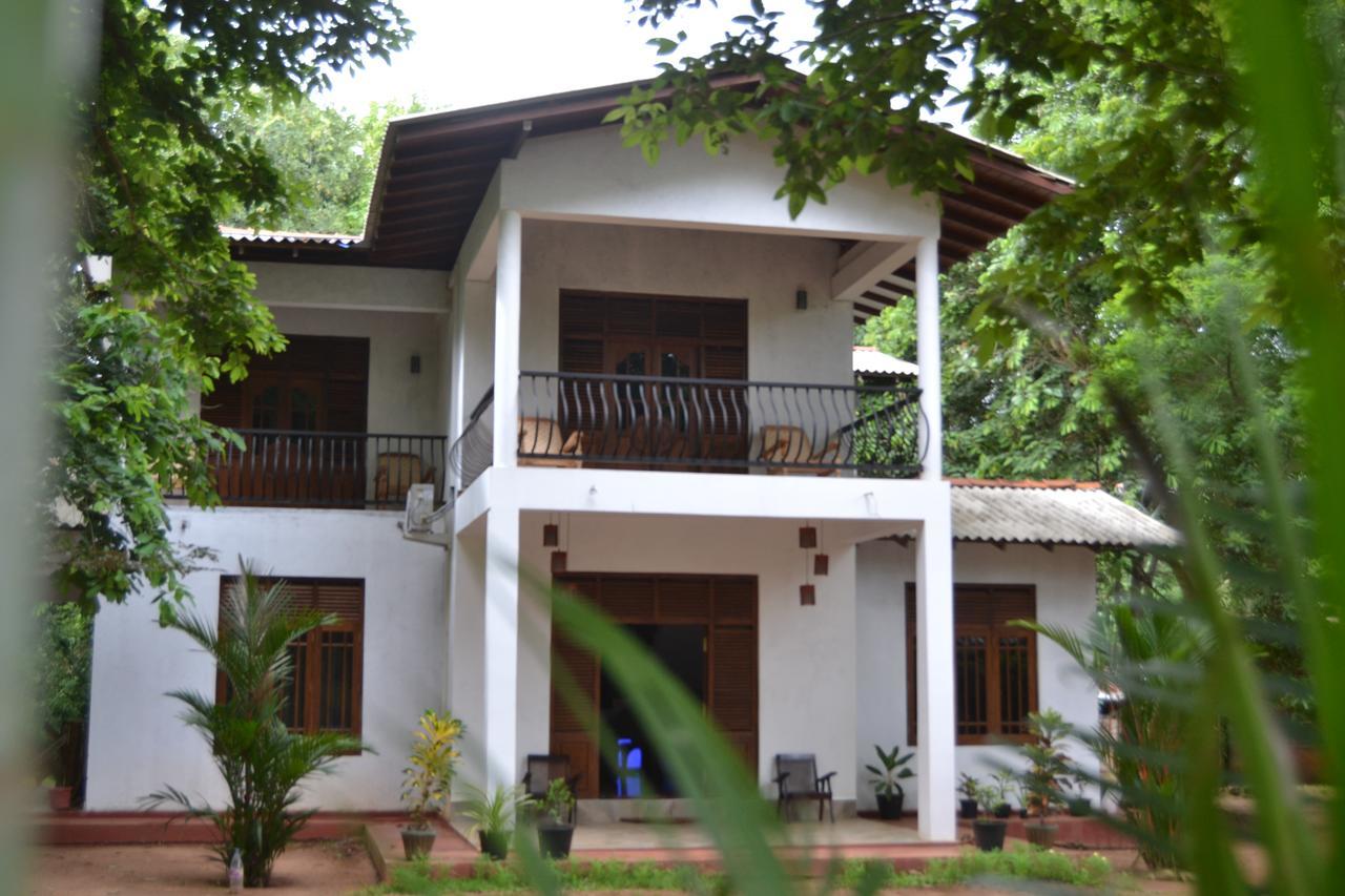 Nice To Meet Home Stay Habarana Exteriér fotografie