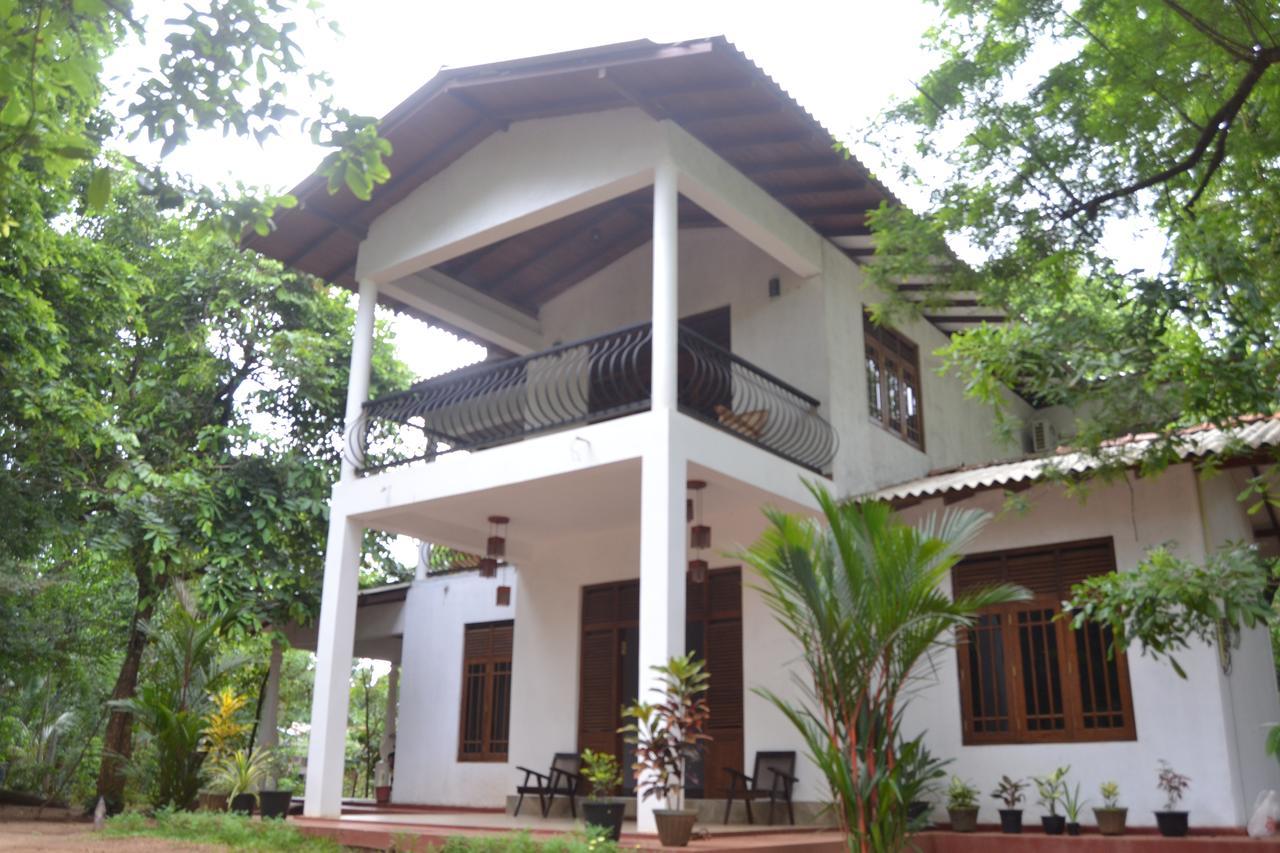 Nice To Meet Home Stay Habarana Exteriér fotografie